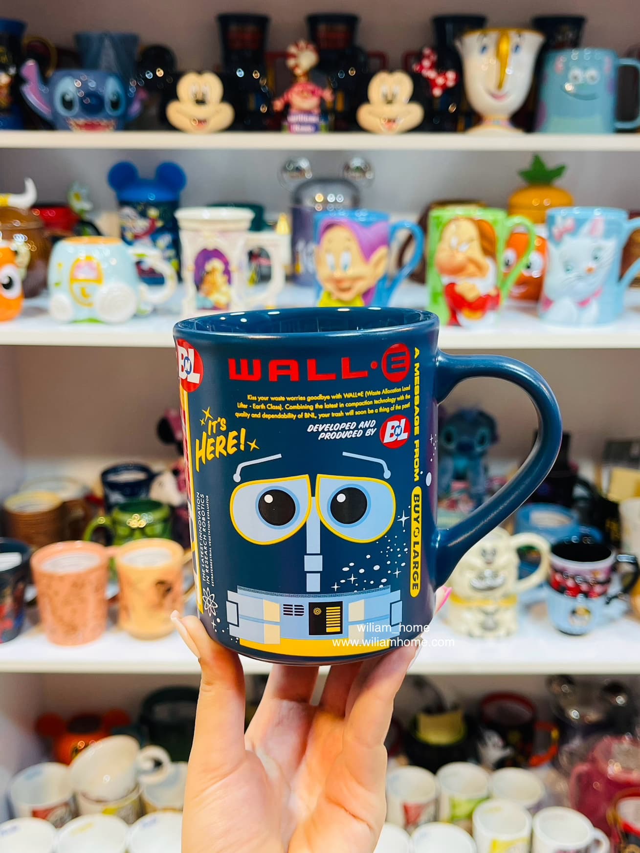 ماگ وال ای و ایوا دیزنی Disney Wall-E Mug